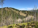 Lookout Pass 2